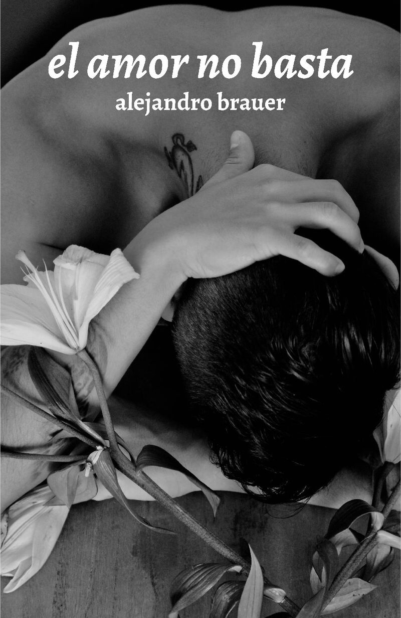 Portada de El amor no basta · Alejandro Brauer