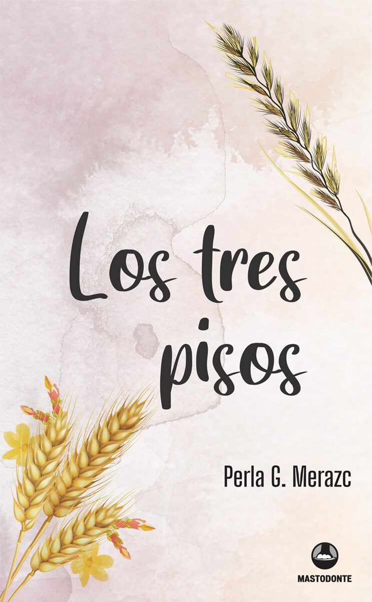 Portada de Los tres pisos