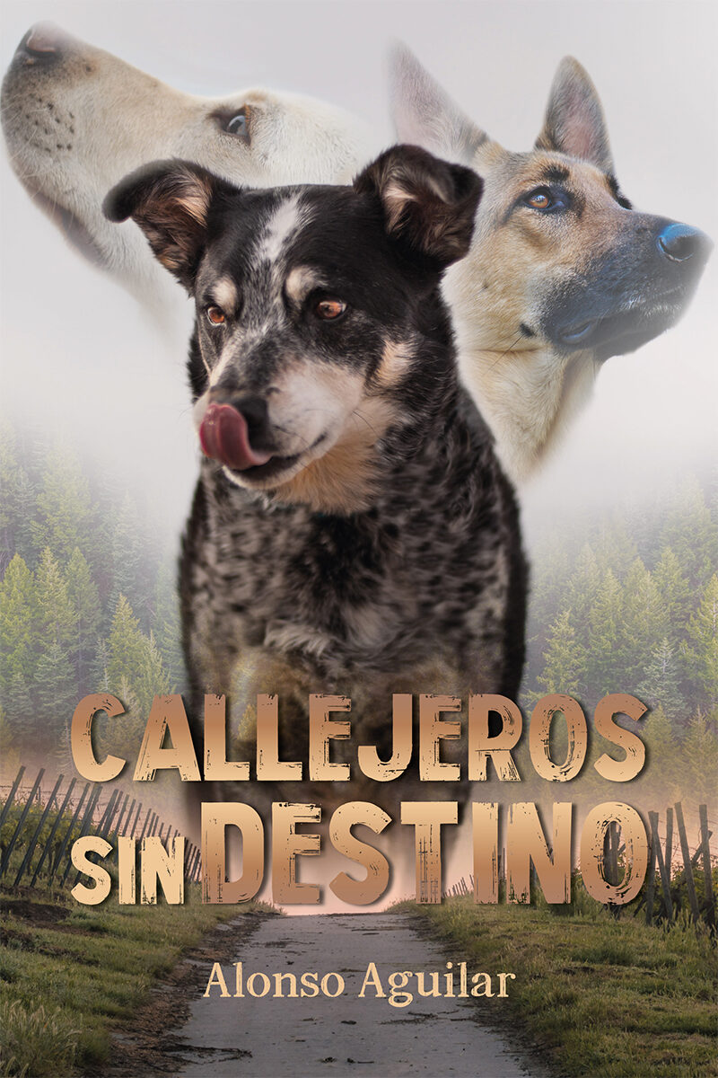 Portada de Callejeros sin destino