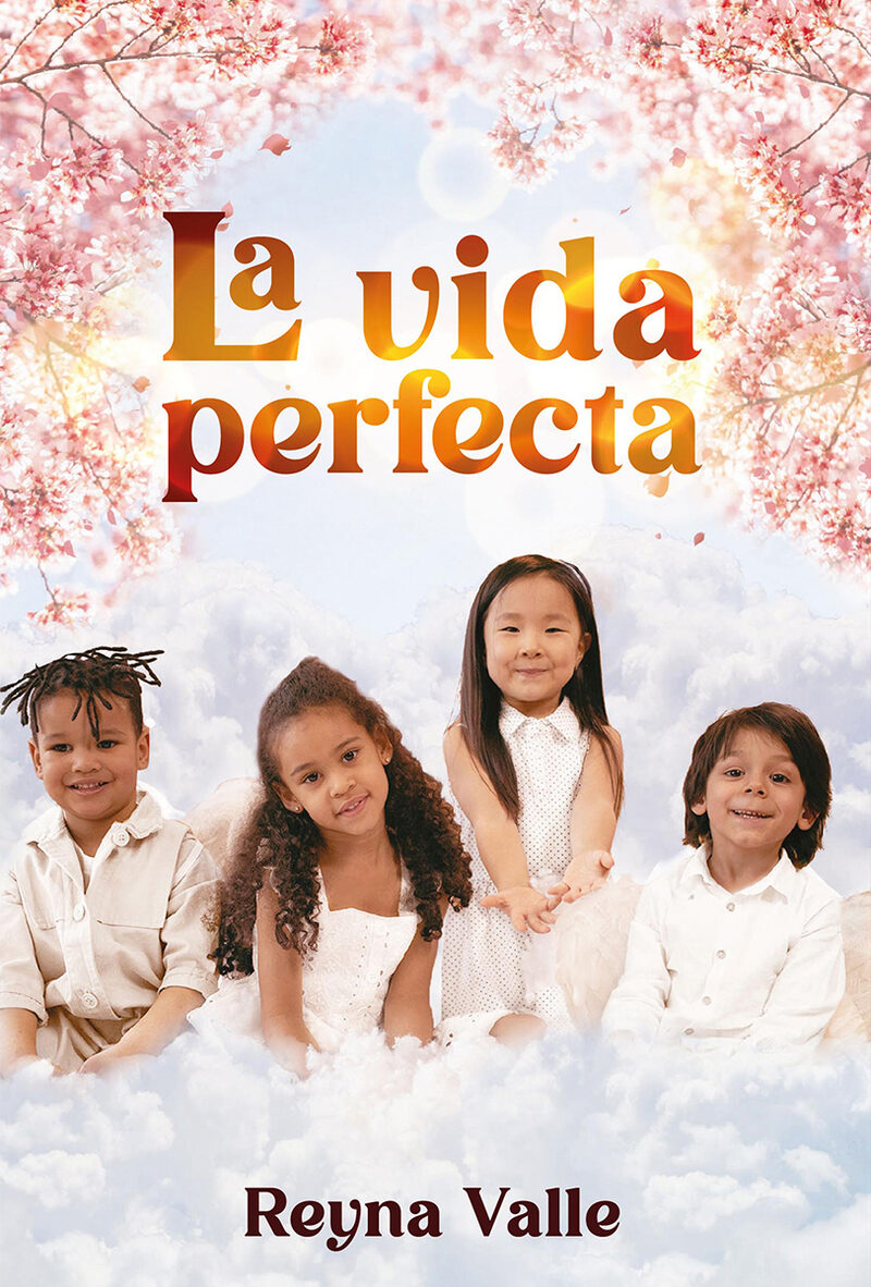 Portada de La vida perfecta