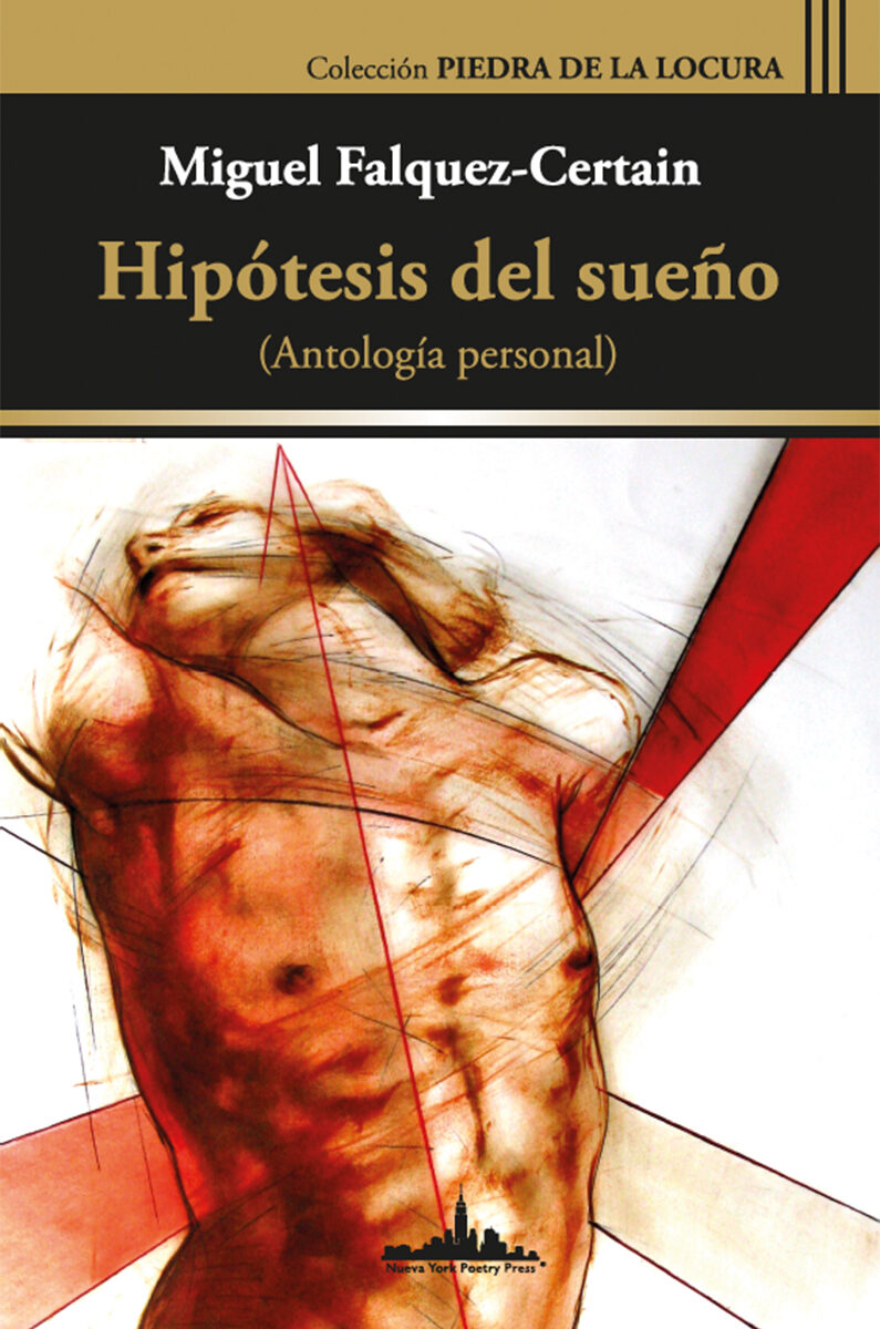 Portada de Hipótesis del sueño