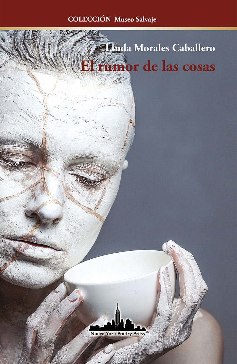 Portada de El rumor de las cosas