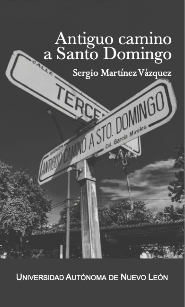Portada de Antiguo camino a Santo Domingo