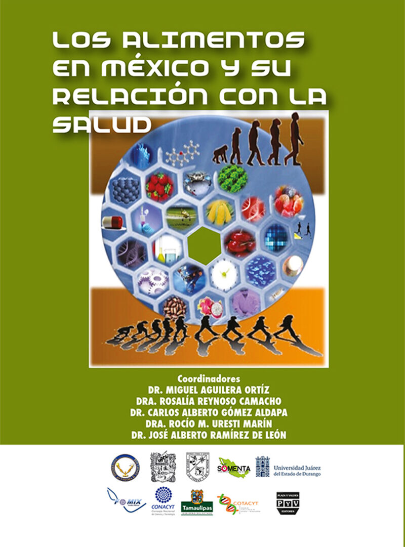 Portada de Los alimentos en México y su relación con la salud