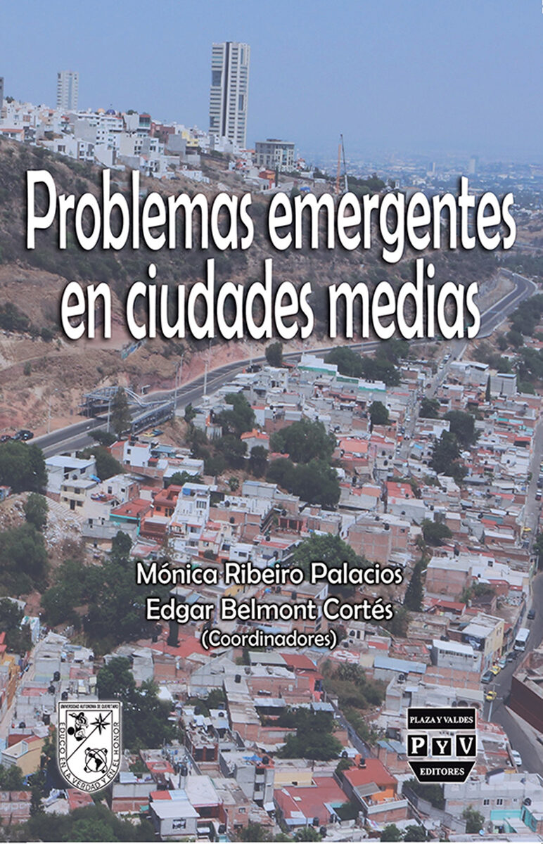 Portada de Problemas emergentes en ciudades medias