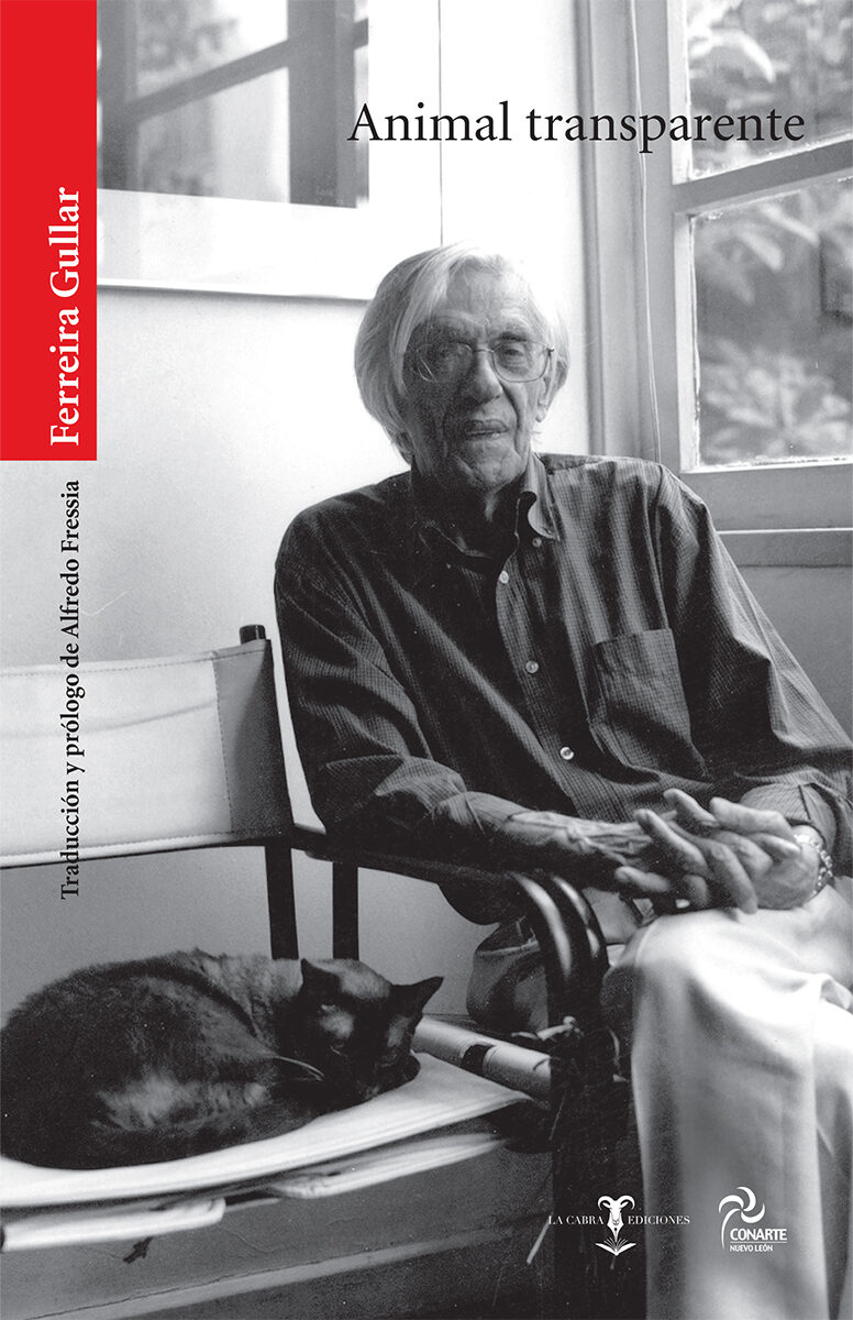 Portada de Animal transparente