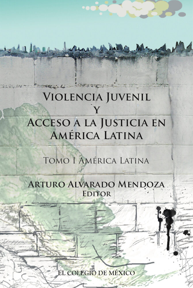 Portada de Violencia juvenil y acceso a la justicia.