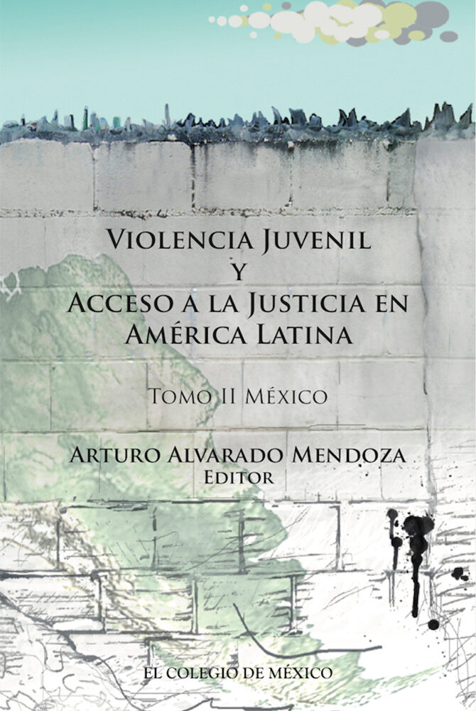Portada de Violencia juvenil y acceso a la justicia.