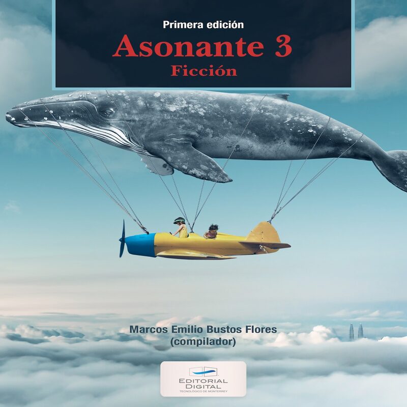 Portada de Asonante 3. Ficción