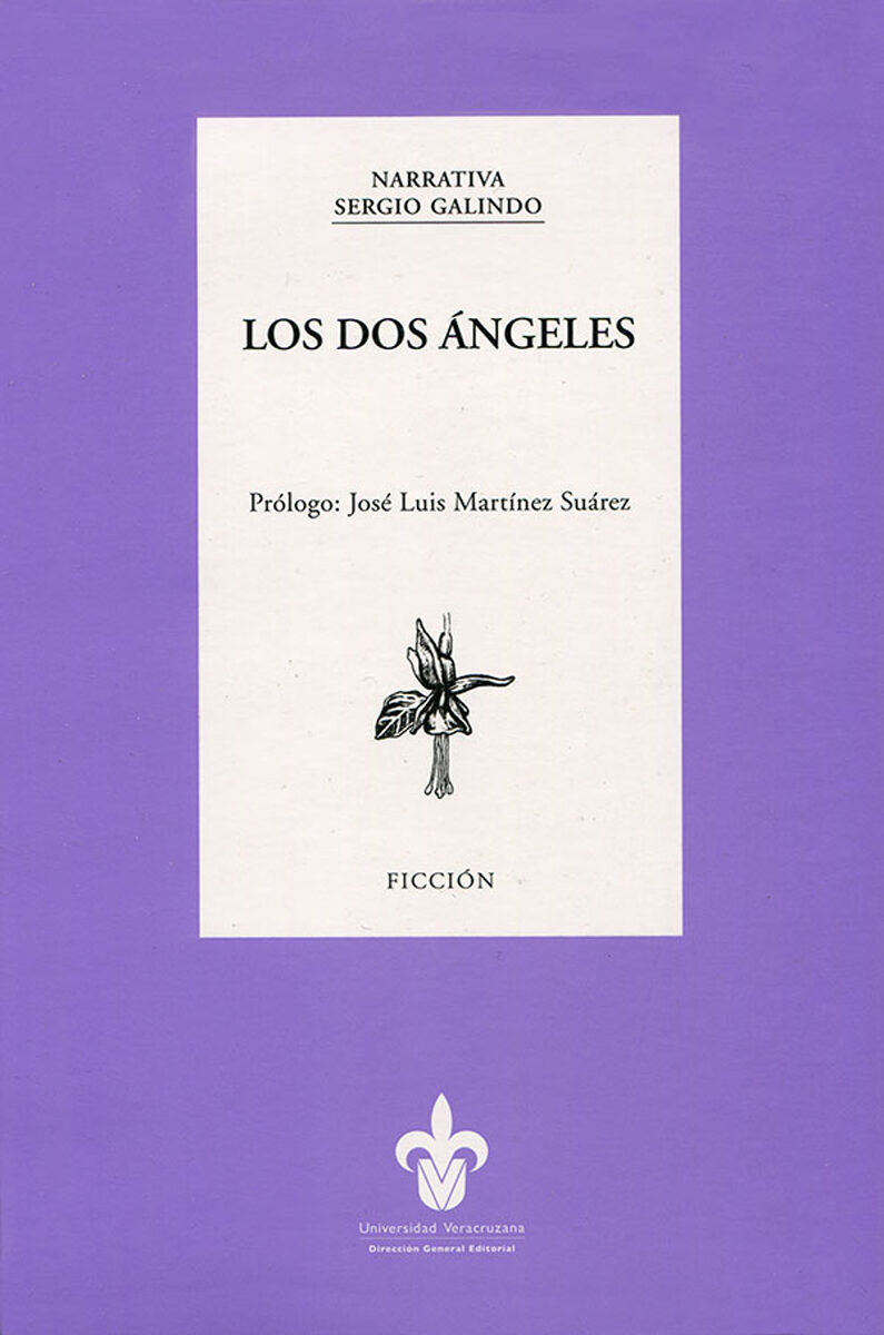 Portada de Los dos ángeles