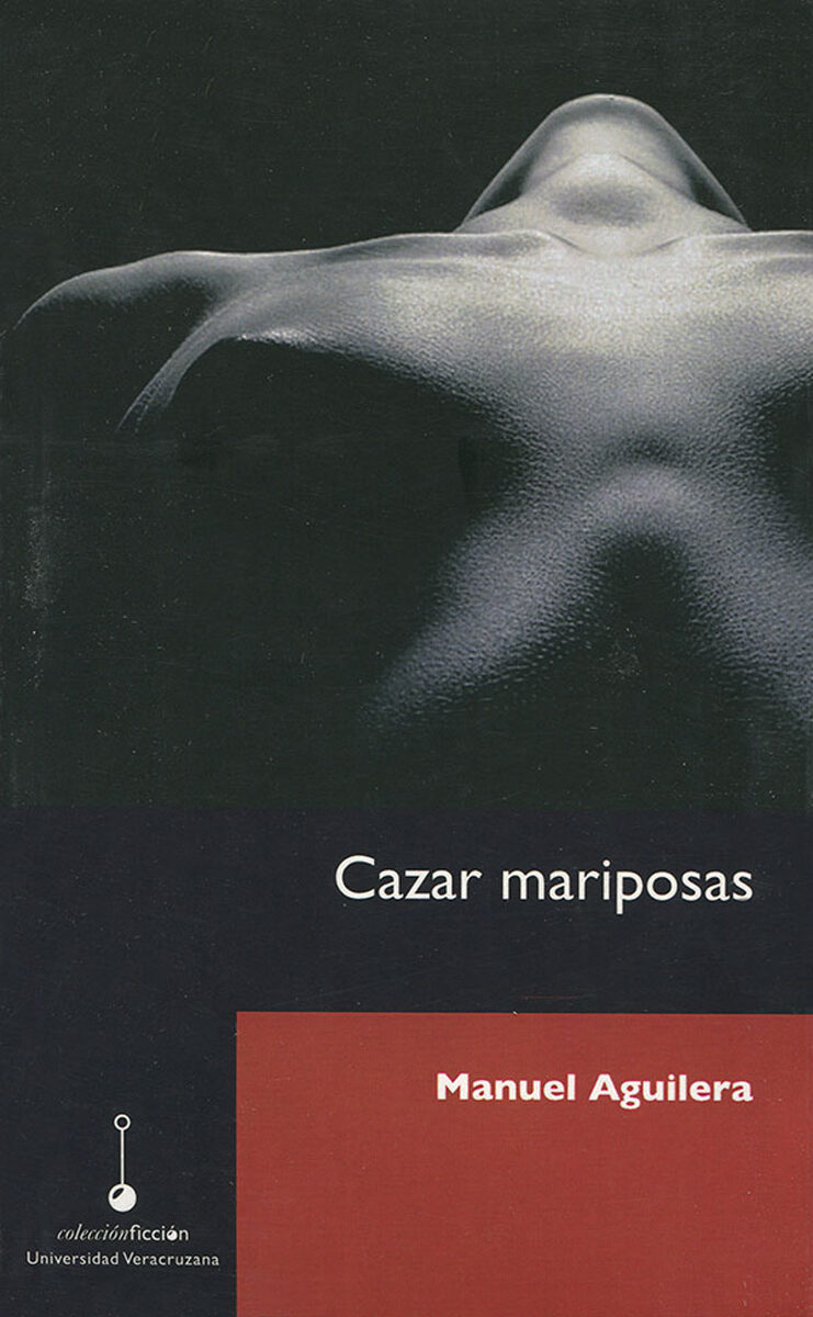 Portada de Cazar mariposas