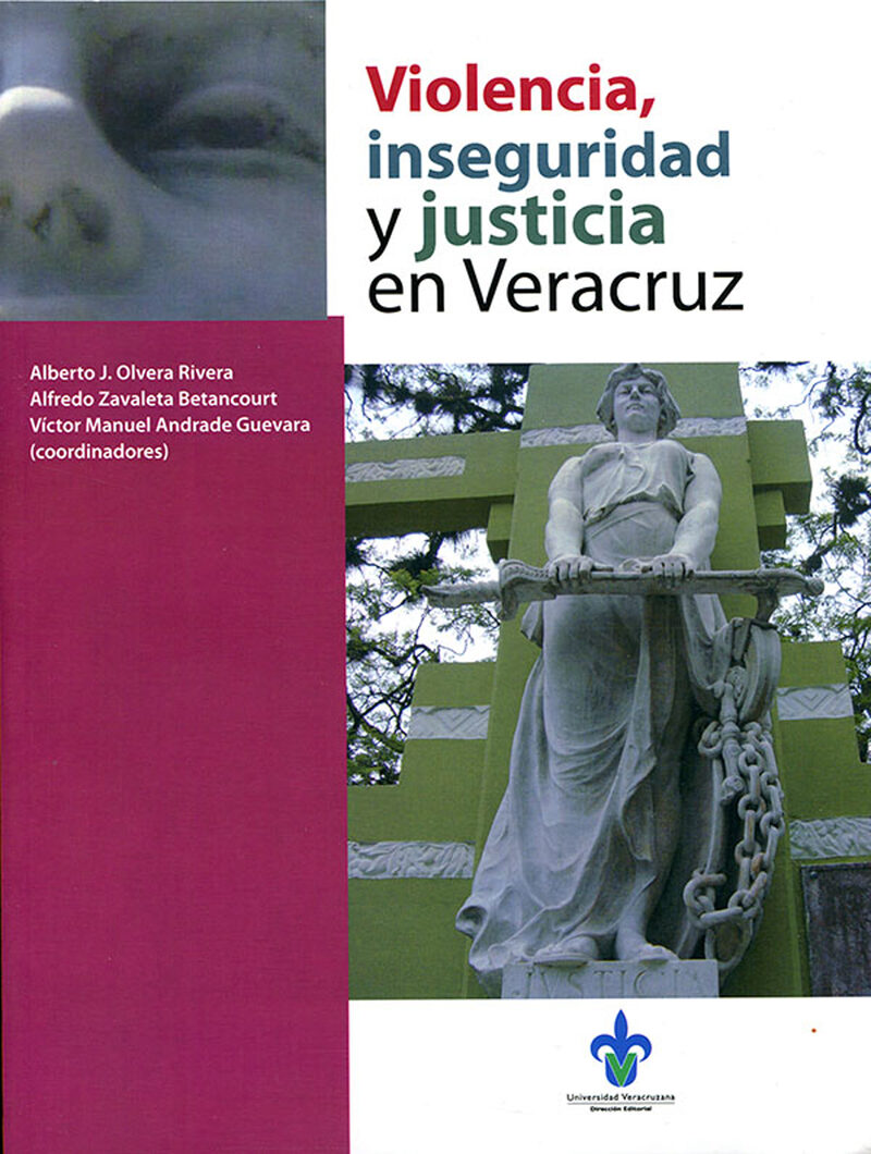 Portada de Violencia, inseguridad y justicia en Veracruz