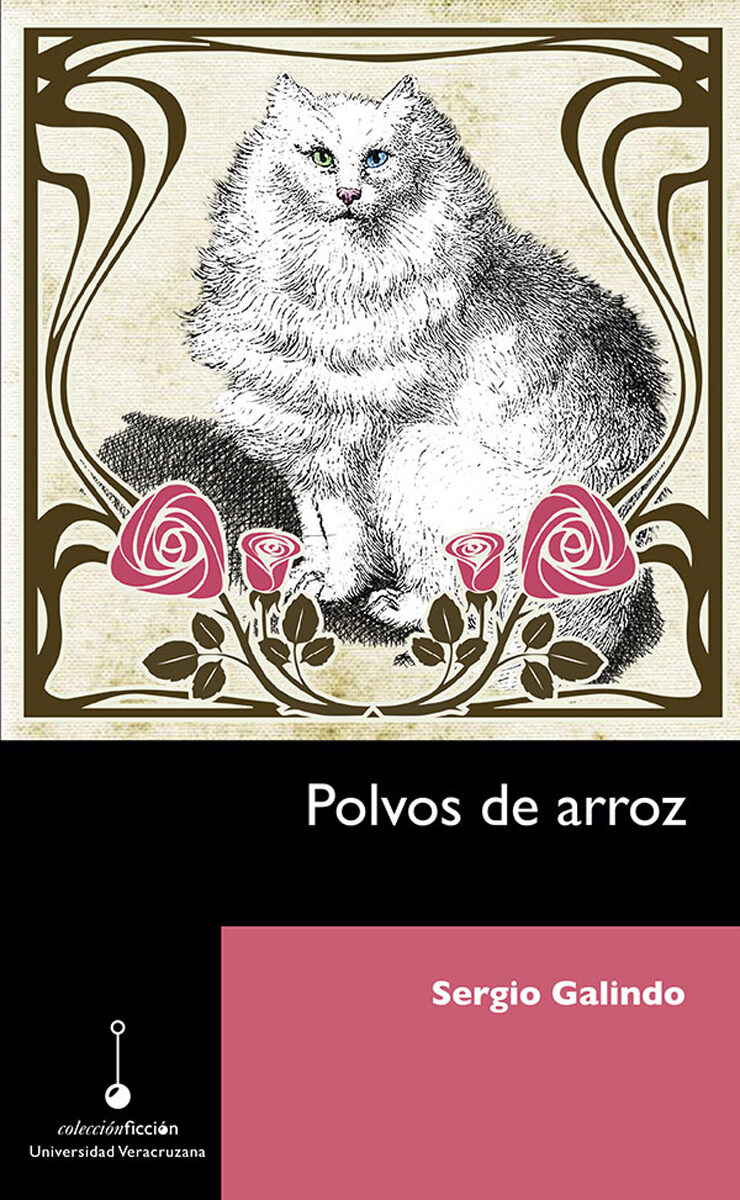 Portada de Polvos de arroz