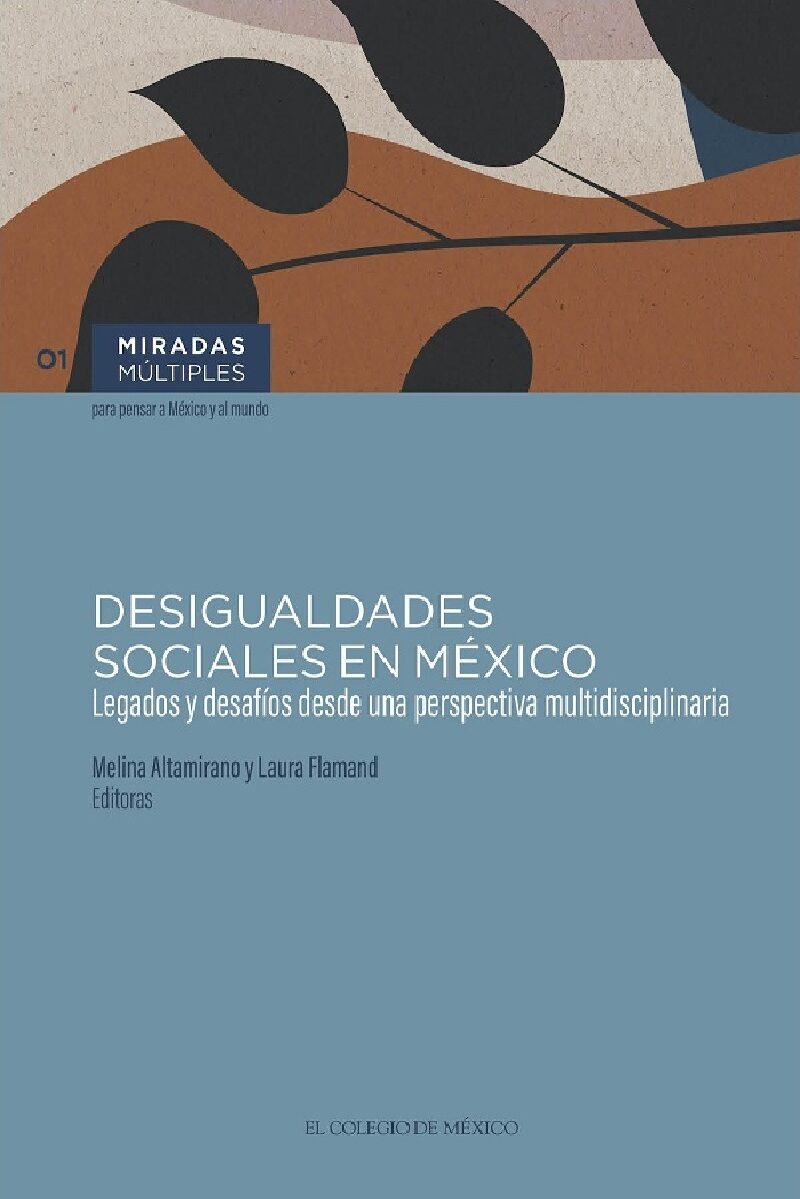Portada de Desigualdades sociales en México.