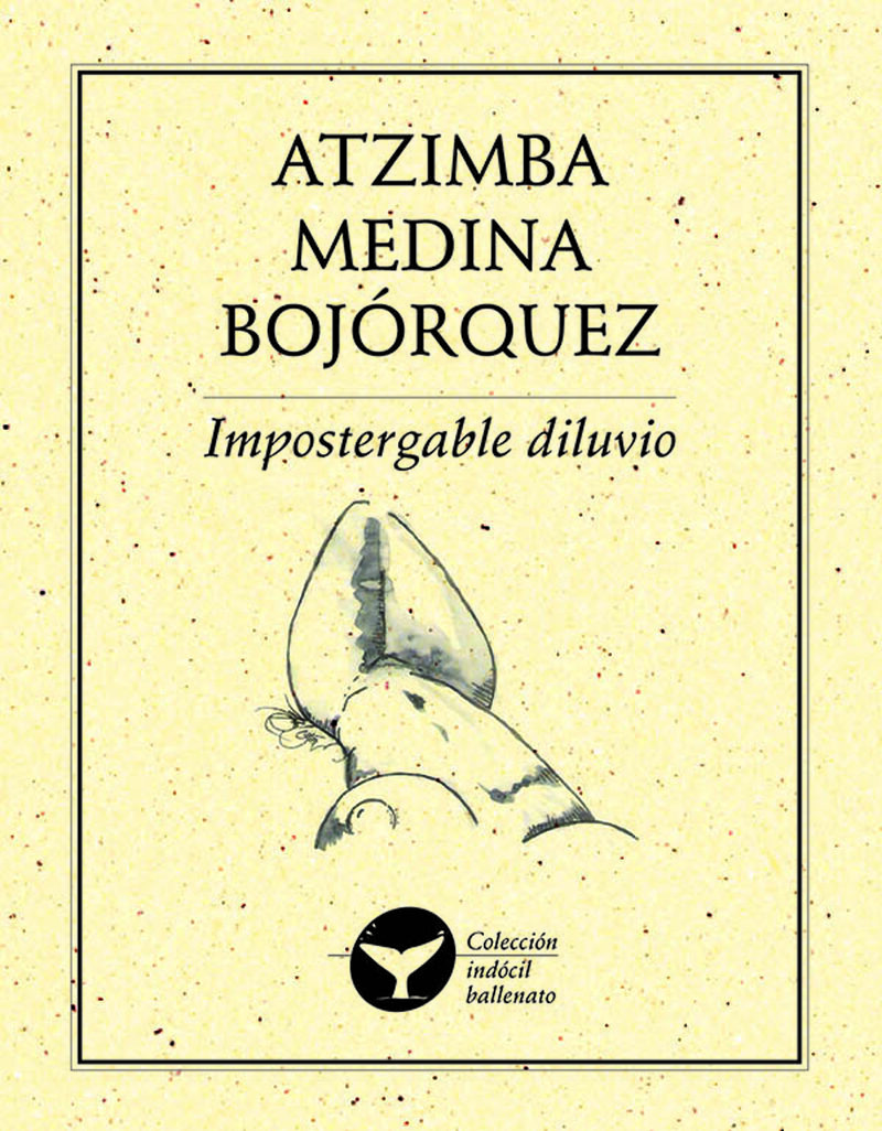 Portada de Impostergable diluvio