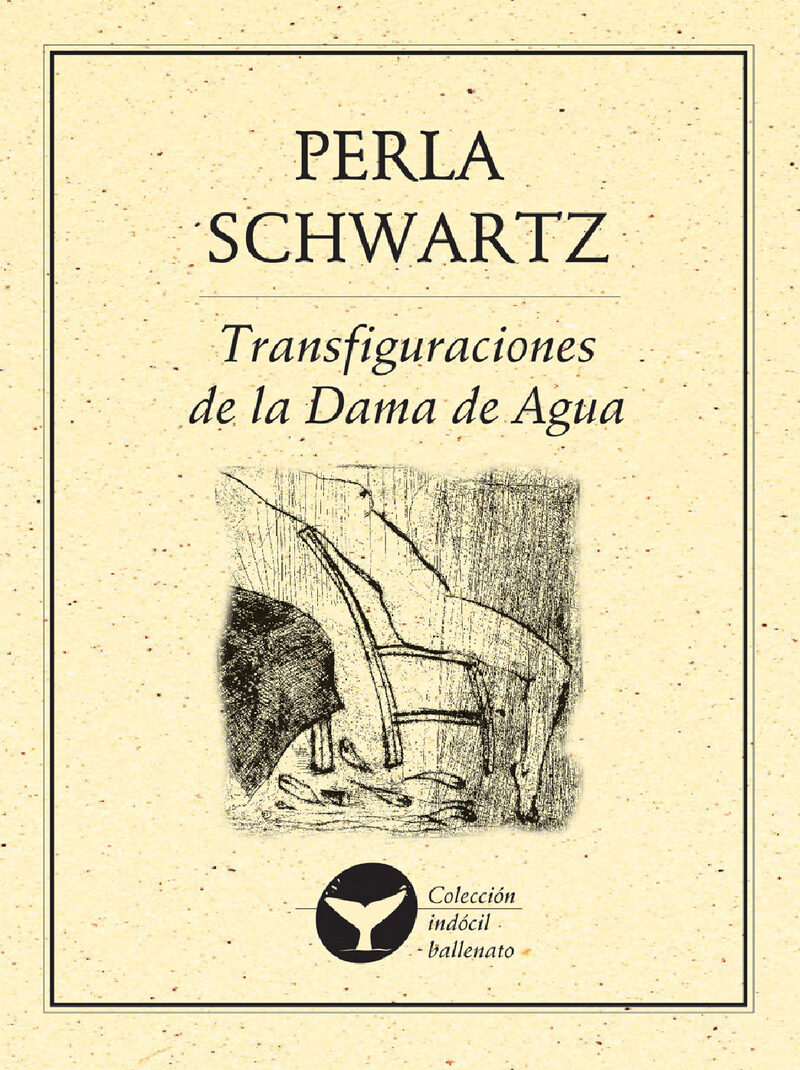 Portada de Transfiguraciones de la dama de agua