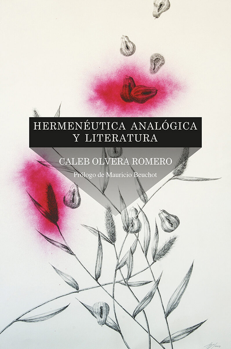 Portada de Hermenéutica analógica y literatura