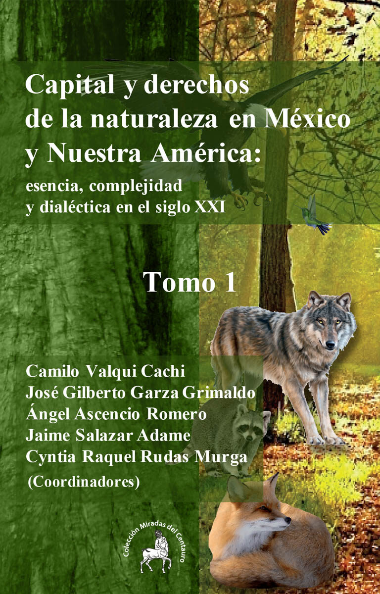 Portada de Capital y derechos de la naturaleza en México y Nuestra América: esencia, complejidad y dialéctica en el siglo XXI Tomo I