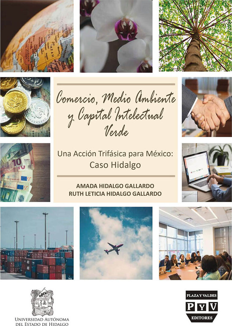 Portada de Comercio, medio ambiente y capital intelectual verde · Amada Hidalgo Gallardo