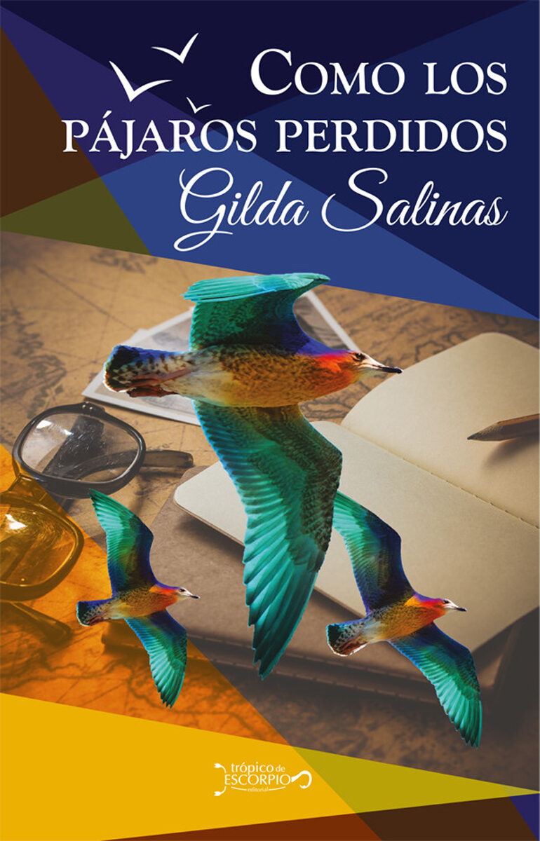 Portada de Como los pájaros perdidos