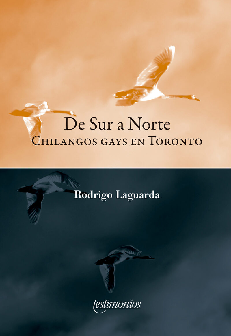 Portada de De sur a norte