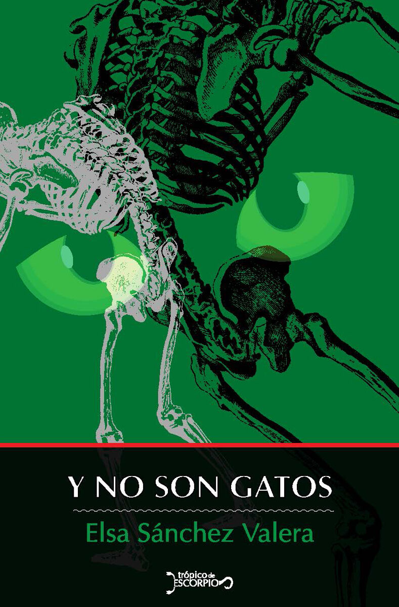 Portada de Y no son gatos