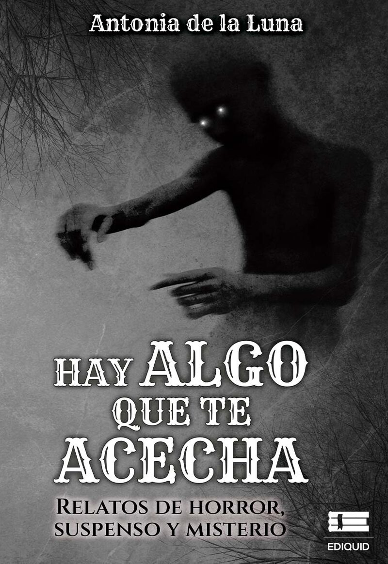 Portada de Hay algo que te acecha