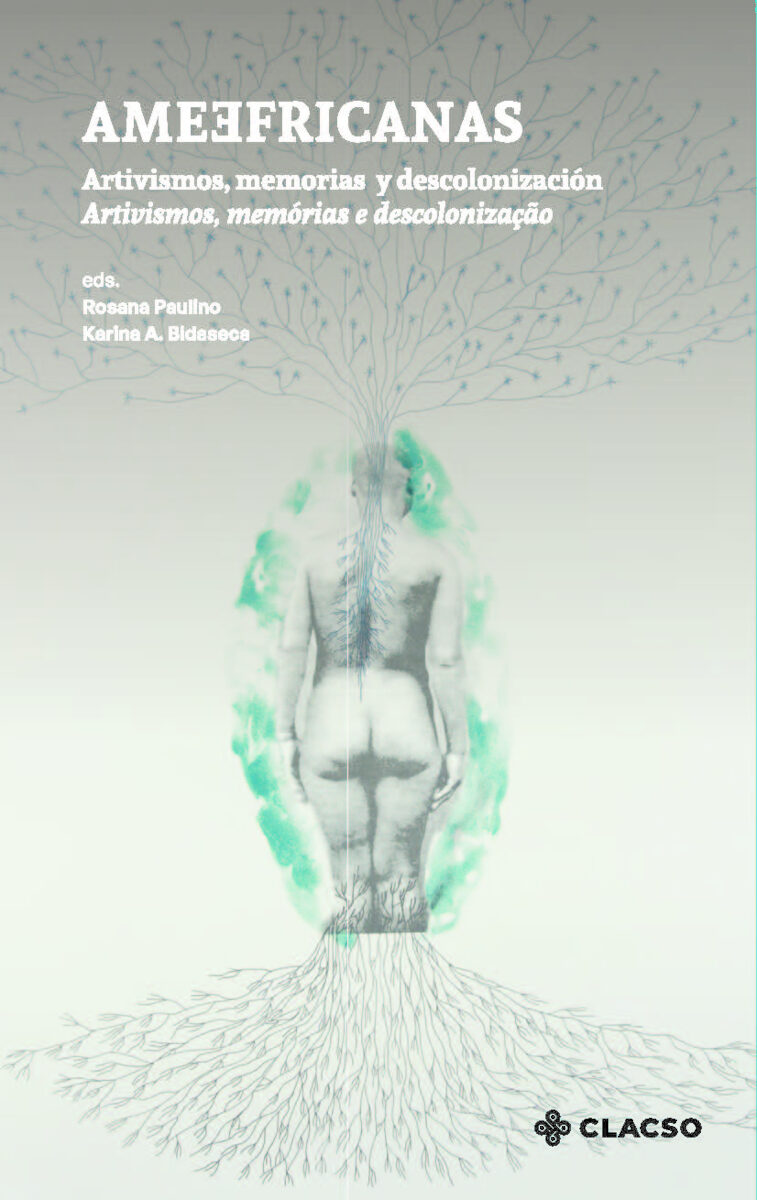Portada de Amefricanas · Karina Bidaseca