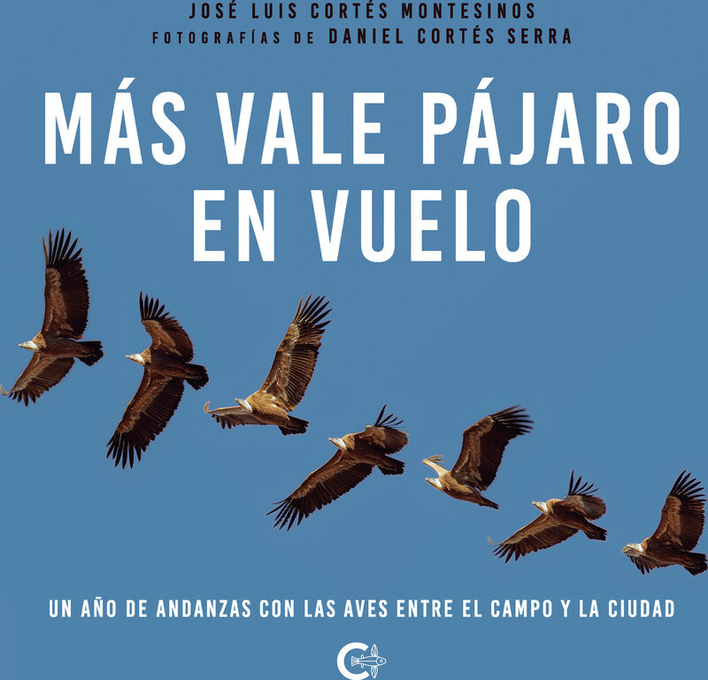 Portada de Más vale pájaro en vuelo