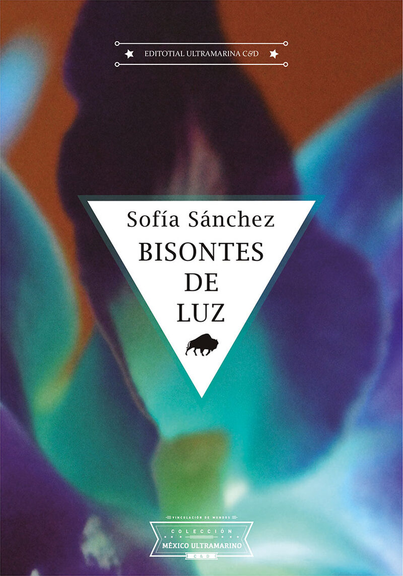 Portada de Bisontes de luz