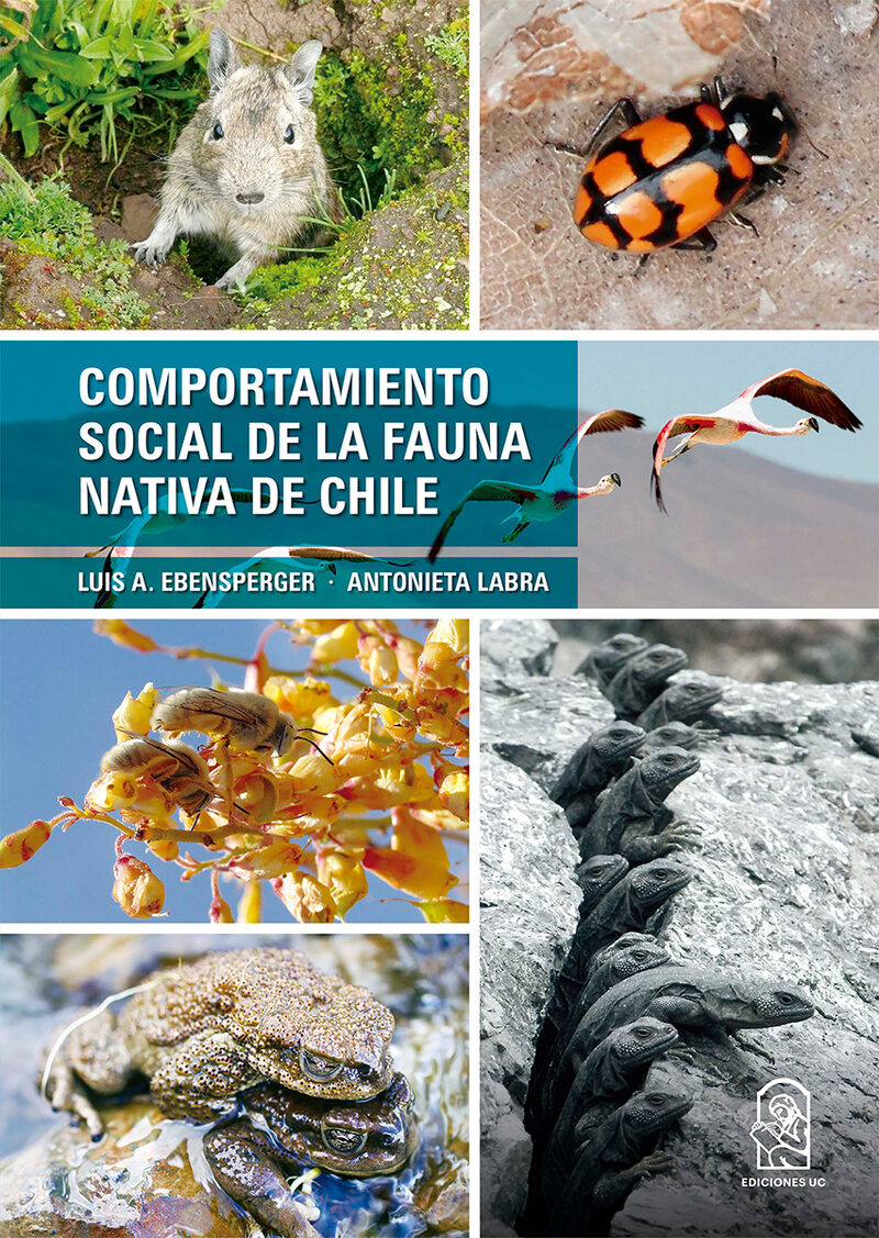 Portada de Comportamiento social de la fauna nativa de Chile
