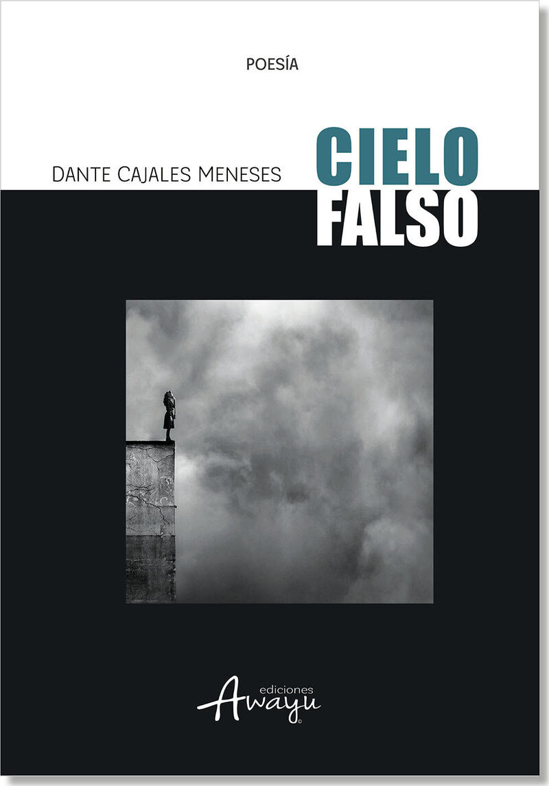 Portada de Cielo Falso