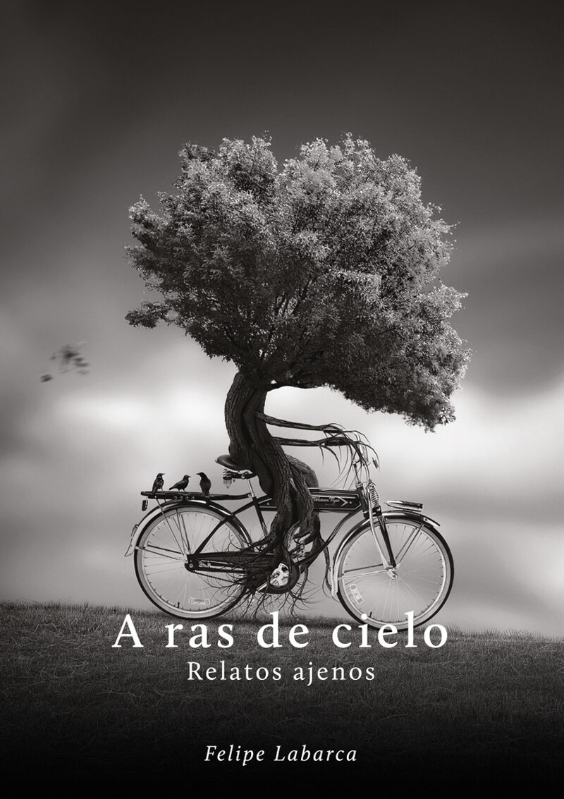 Portada de A ras de cielo