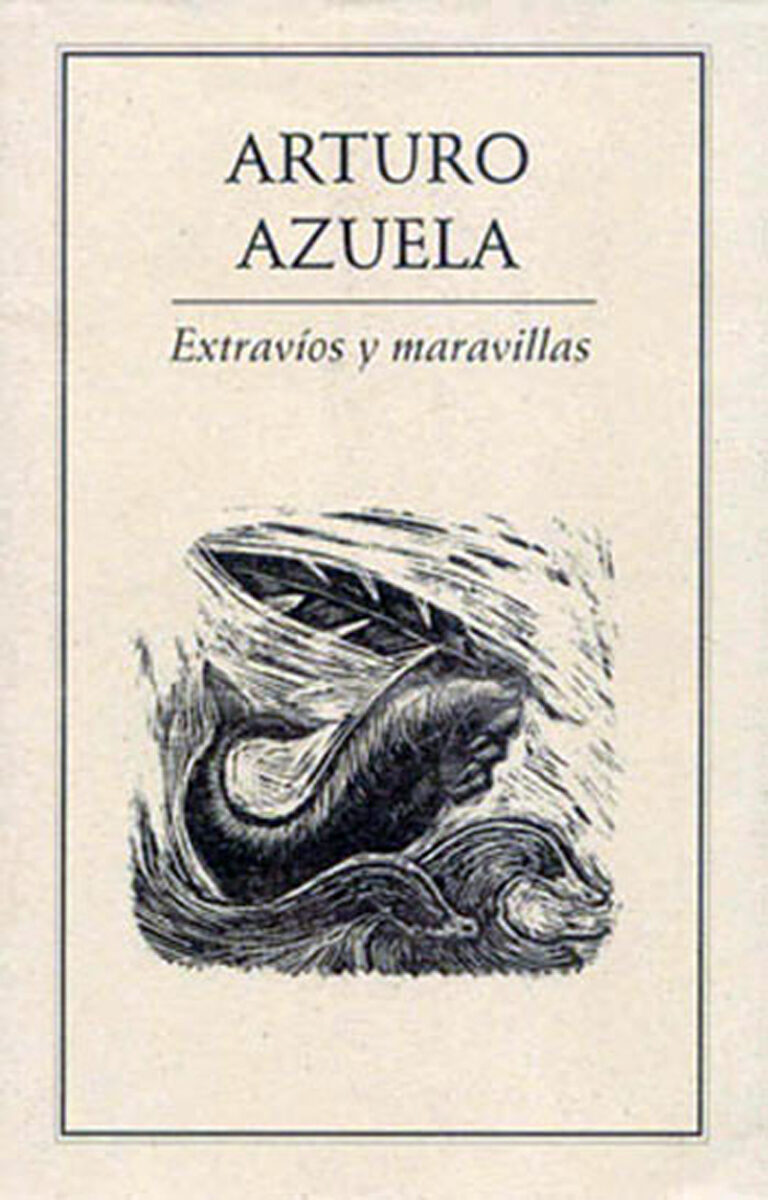 Portada de Extravíos y maravillas