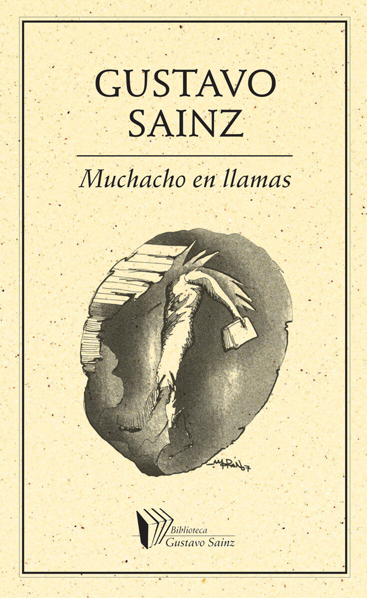 Portada de Muchacho en llamas · Gustavo Sainz