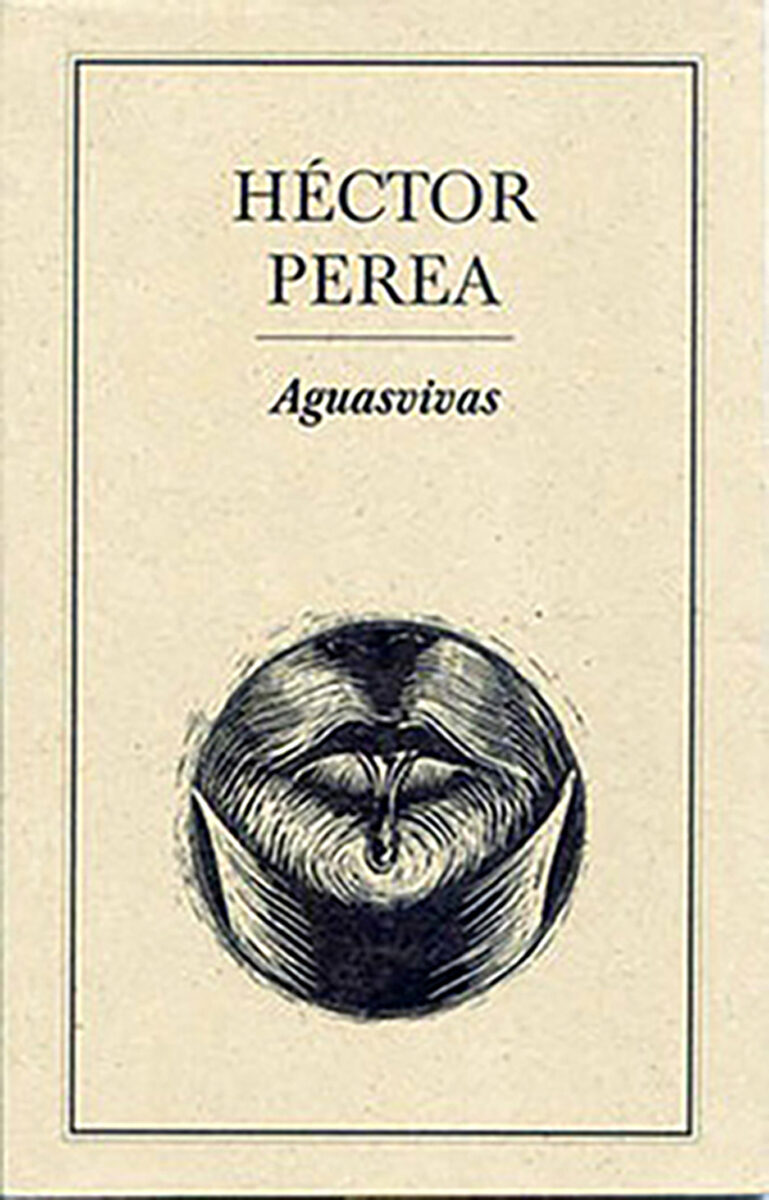 Portada de Aguasvivas