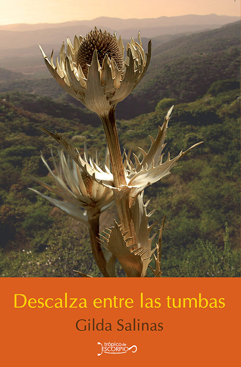 Portada de Descalza entre las tumbas