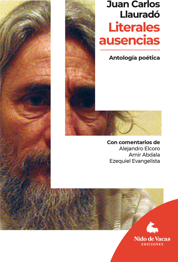 Portada de Literales ausencias