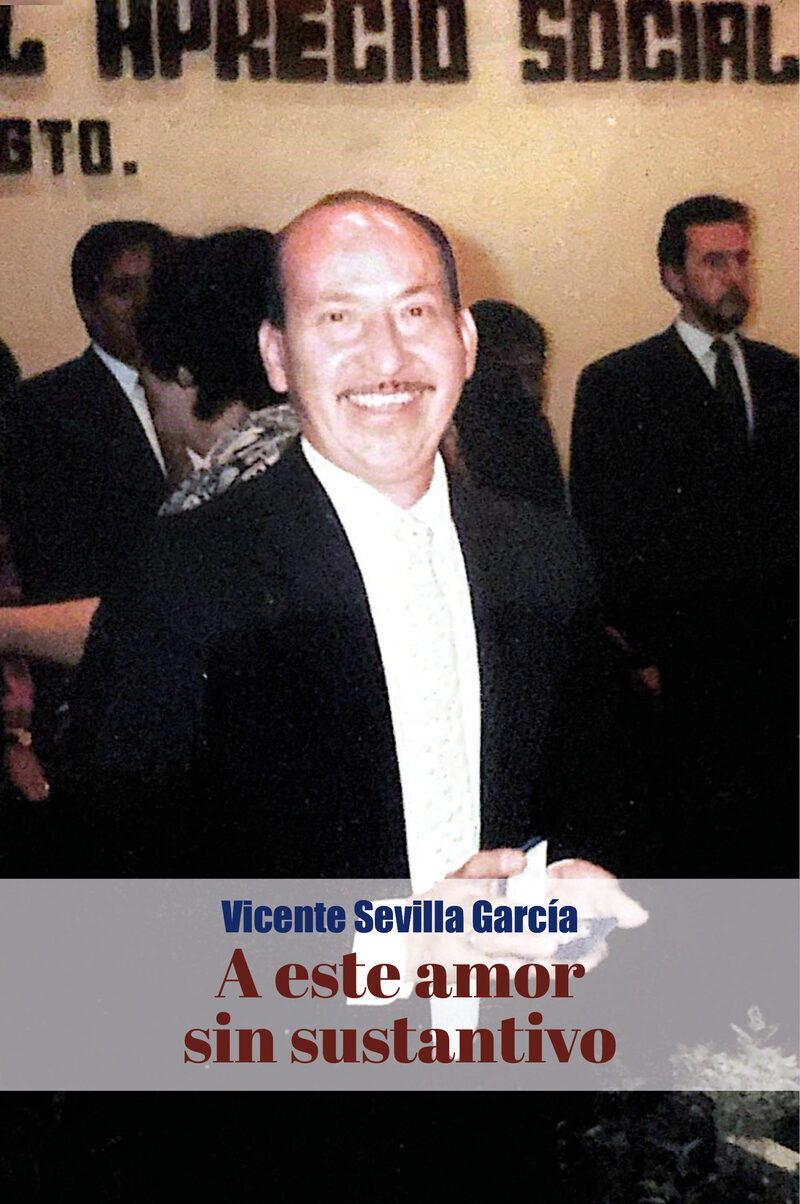 Portada de A este amor sin sustantivo…