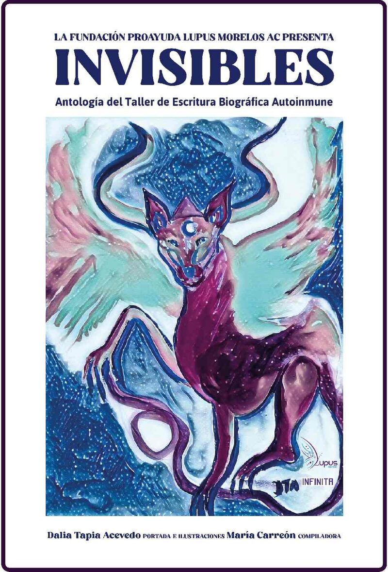 Portada de Invisibles · María.Domínguez Zúñiga , Donají Carreón
