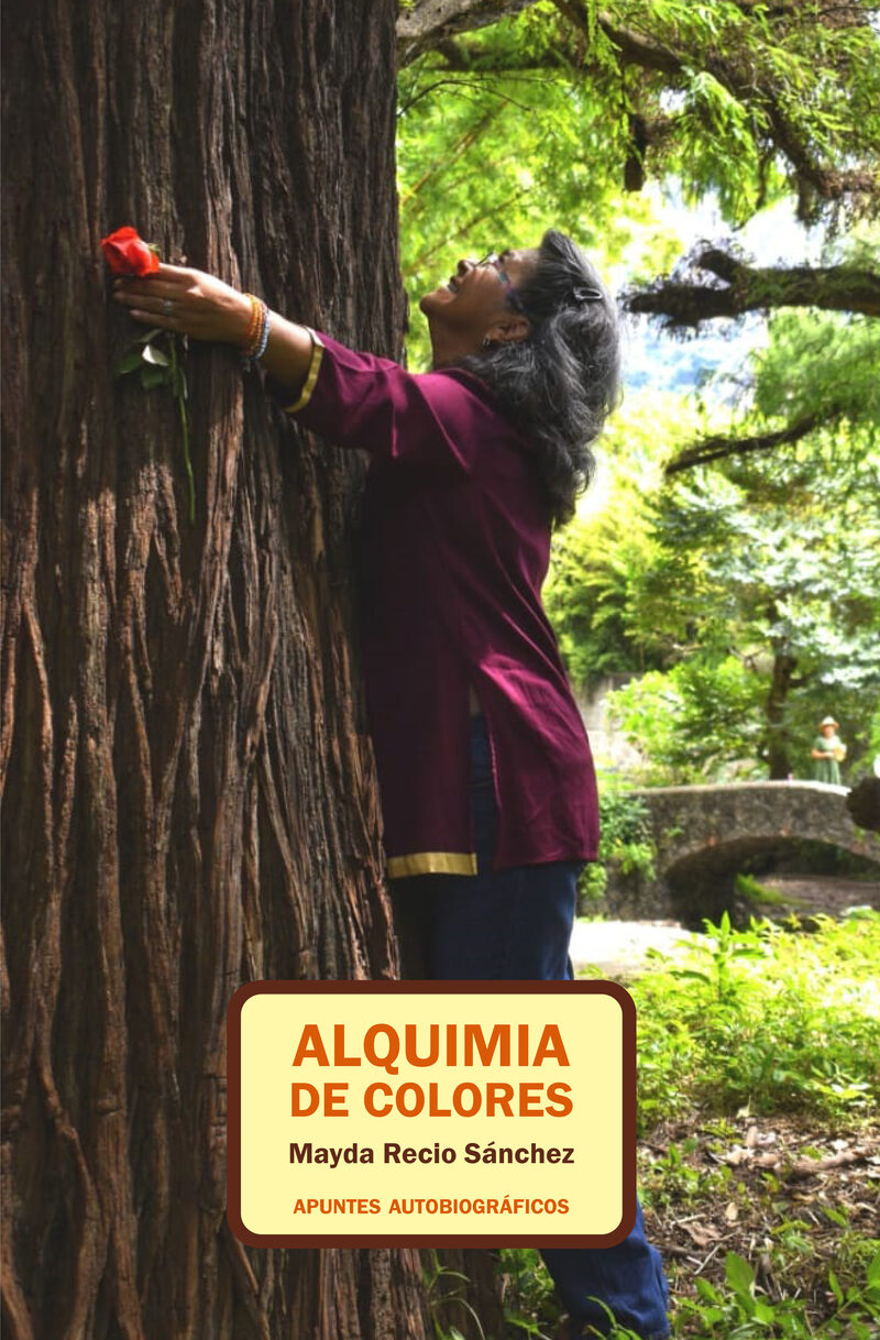 Portada de Alquimia de colores
